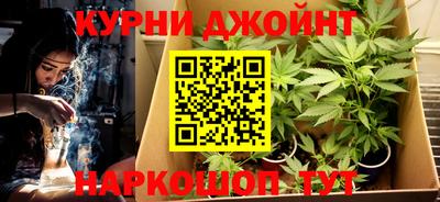 сатива Ирбит