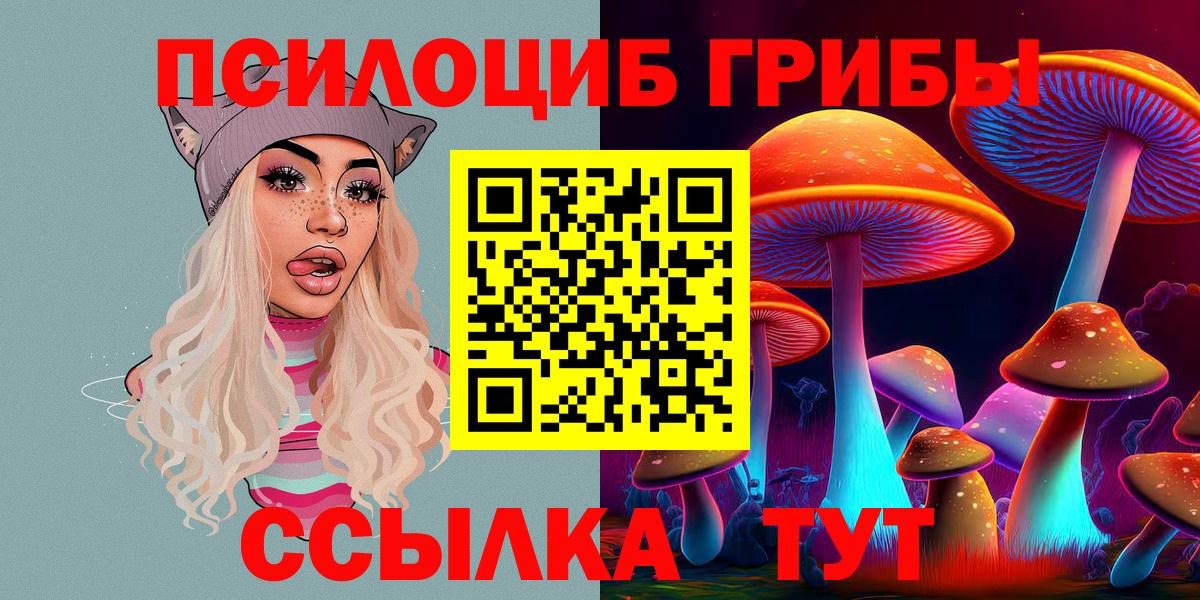 Галлюциногенные грибы Psilocybine cubensis Люберцы